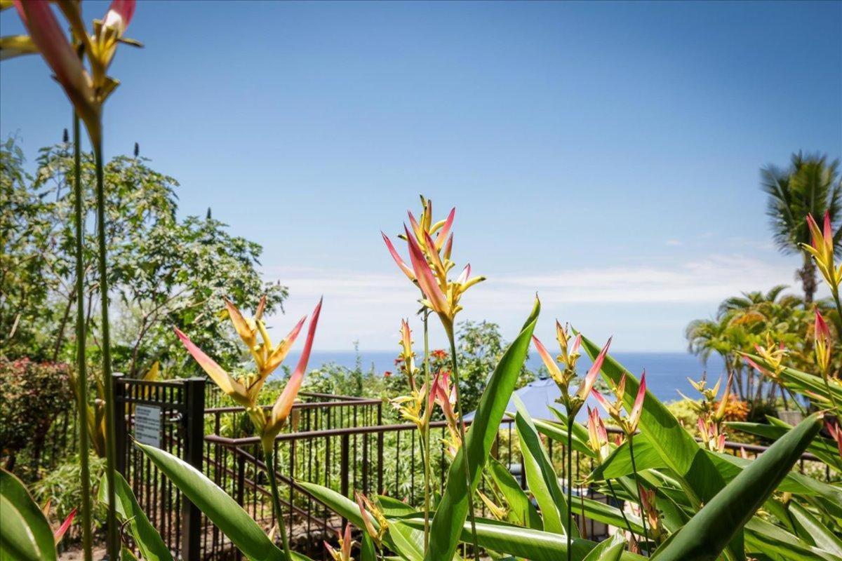 Вилла Kona Westwind 1 New! Quiet Ocean-View 1St Floor | Patio | Pool Каилуа-Кона Экстерьер фото