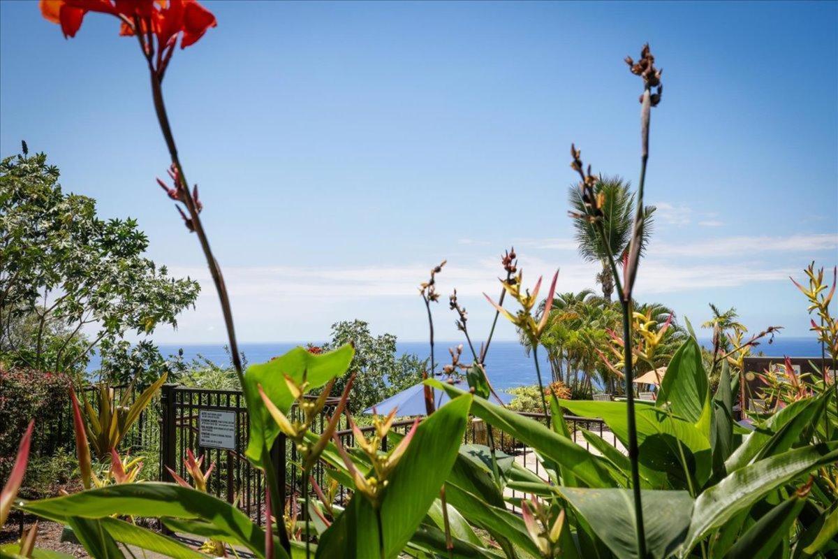 Вилла Kona Westwind 1 New! Quiet Ocean-View 1St Floor | Patio | Pool Каилуа-Кона Экстерьер фото